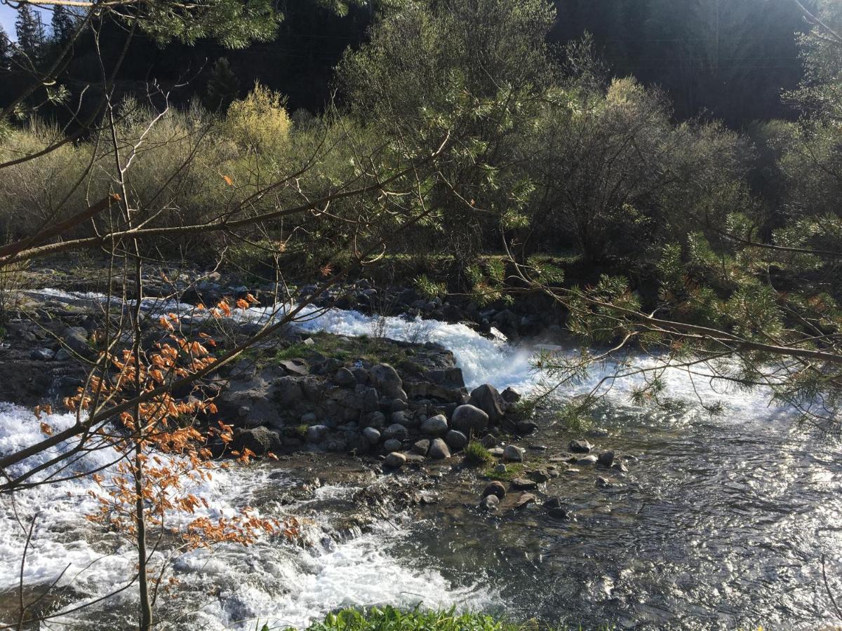 דירות Riverside הבובקה מראה חיצוני תמונה